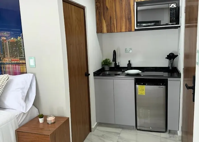 Loft Privado Con Terraza A Pasos Inp Y Perisur Mexico City